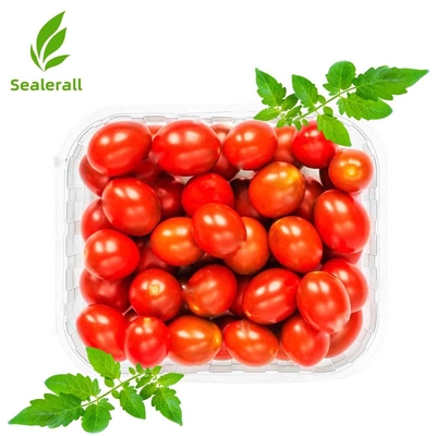 ซื้อ Sealerall MAP Tray Sealer สําหรับฝรั่งต้มขนาดเล็ก 10-12 แพคเทรย์ การผลิตออนไลน์